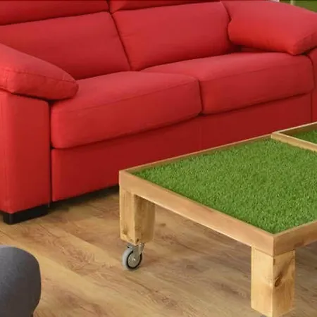 Tomate Διαμέρισμα