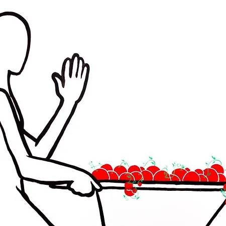 Tomate