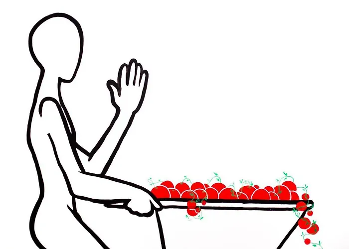 Tomate
